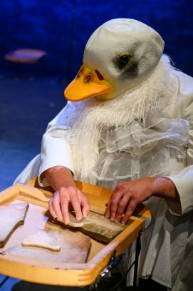foto: R. Tappert