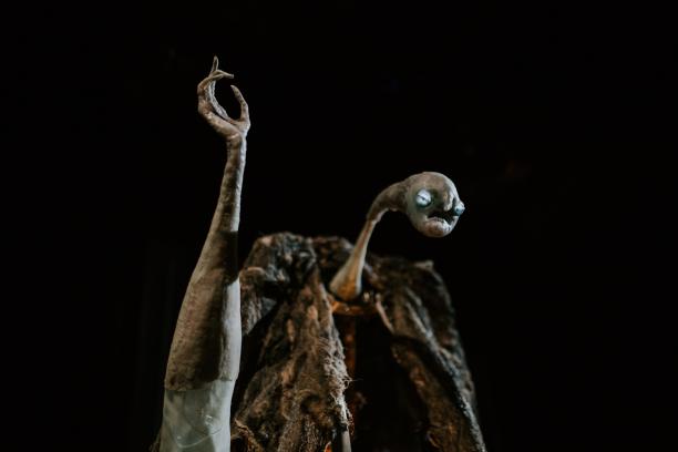 (foto K. Baranyai)